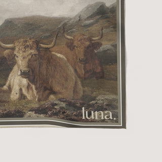 Littles Fallow image 2