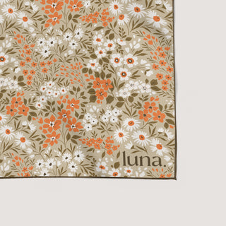 Littles Sundrop image 1