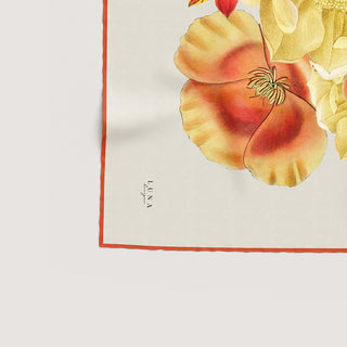 Flora Calendula image 2